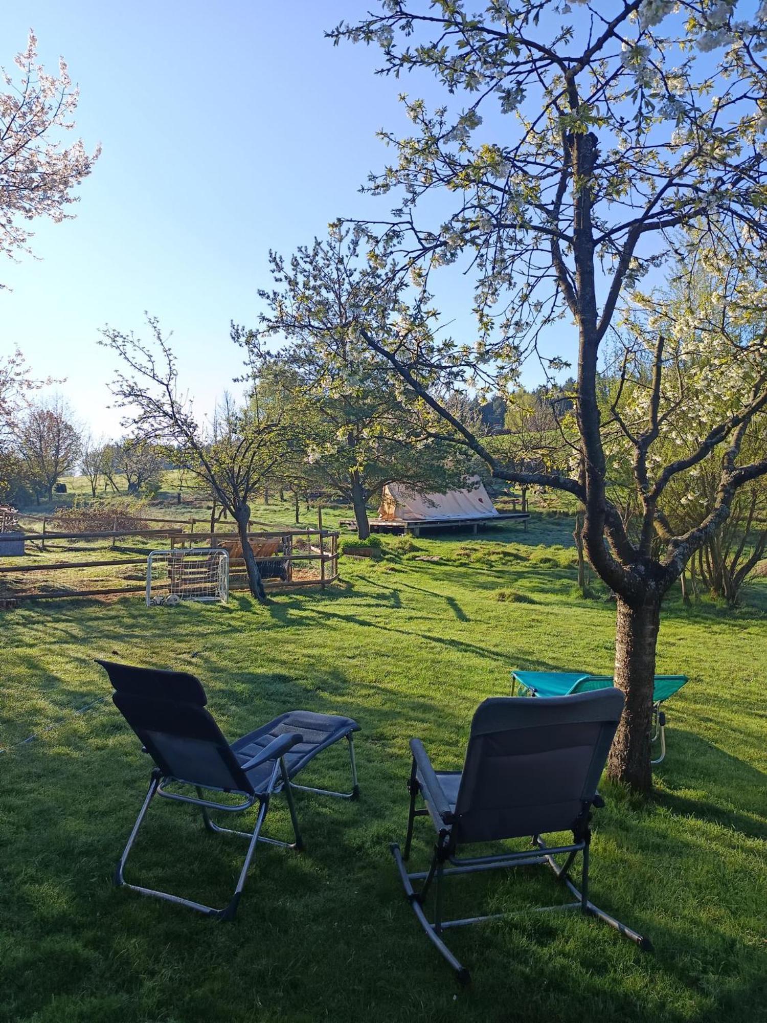 Die Alm In Schoellbuechl, Privatzimmer Sankt Martin  Exterior foto